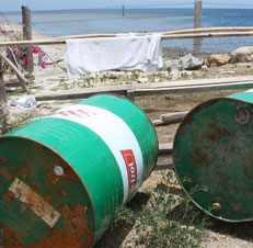 Waste Management Case